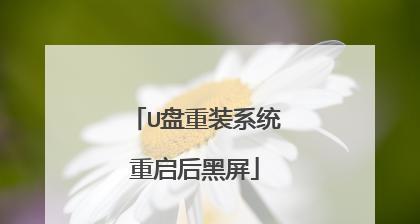 黑屏小白系统u盘重装教程（轻松掌握黑屏小白系统u盘重装技巧，解决电脑黑屏问题）