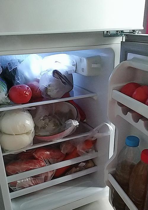 如何选择适合两个人生活的冰箱（小型家庭的最佳选择）