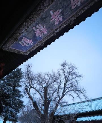 探索PX80的卓越表现（解码PX80的优势与特点）