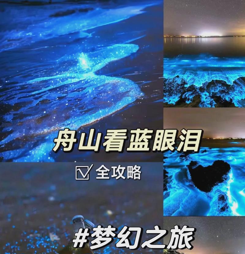 以海迅影视（体验高质量影视作品，尽在以海迅影视平台）