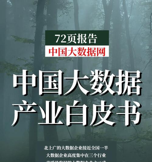 卧龙大数据（发挥数据的力量，卧龙大数据引领行业变革）
