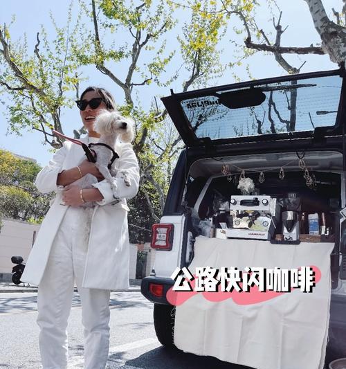 揭秘撒哈拉冷静大师的智慧之道（探索以撒哈拉冷静大师的独特修行方法与生活哲学）