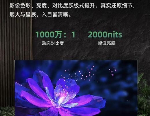 东芝电视机的性能与品质分析（了解东芝电视机的关键特点及用户评价）