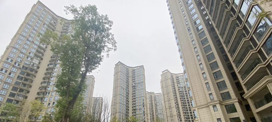 拍拍网诚保保证计划激活指南（享受安心购物，一键激活诚保保证计划）