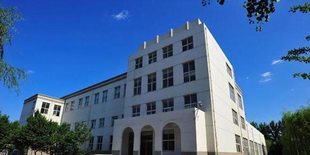 东北大学佟（教育智者佟的卓越成就与影响力）