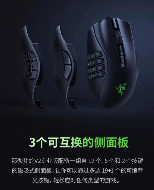 雷蛇那伽梵蛇六芒星（探索雷蛇那伽梵蛇六芒星的卓越性能与创新设计）