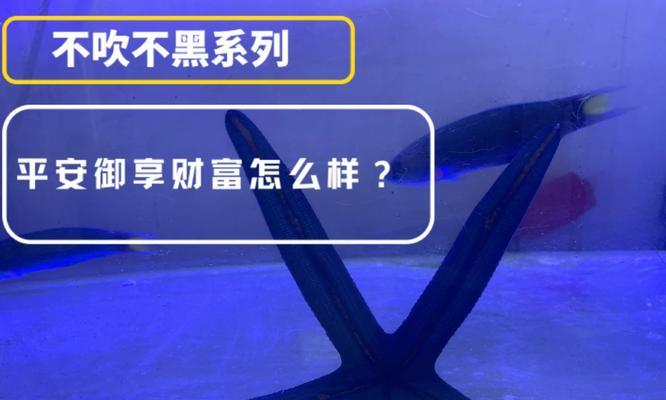 开心宝财富（探索理财新方式，让财富生活更开心）