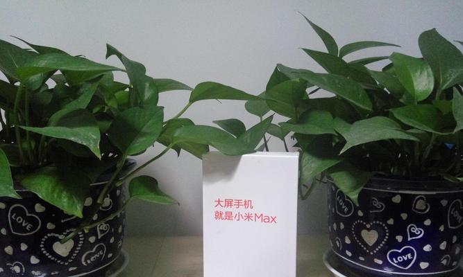小米Max双清使用指南（轻松学会小米Max双清功能，释放手机性能）