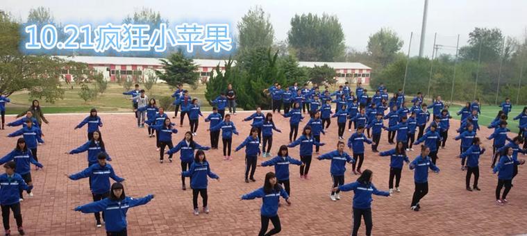 苹果10.21系统（一站式智能生活体验，深度解析苹果10.21系统的关键特点）