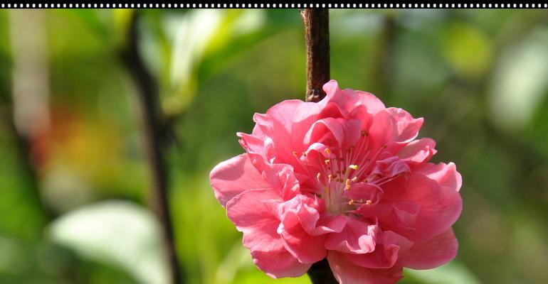 以景明摄影，细细品味生活之美（当摄影师的视角遇上每个人的瞬间，创造出一幅幅永恒的画面）