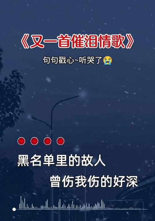 黑名单的影响及后果（了解加入黑名单会引发的各种问题与困扰）