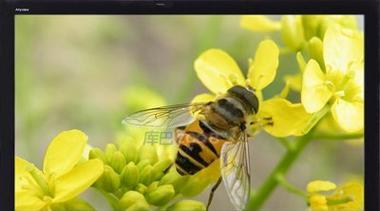 海信K660X3D（领先技术、出色性能、引领家庭娱乐新潮流）
